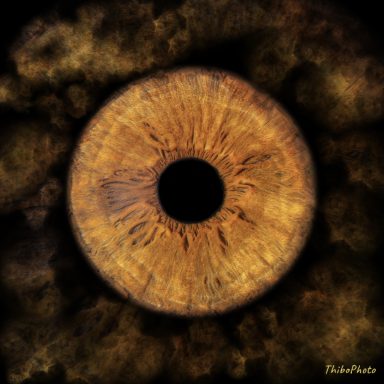 Un gros plan sur un œil aux iris dorés et aux nuances brunes, sur fond sombre.