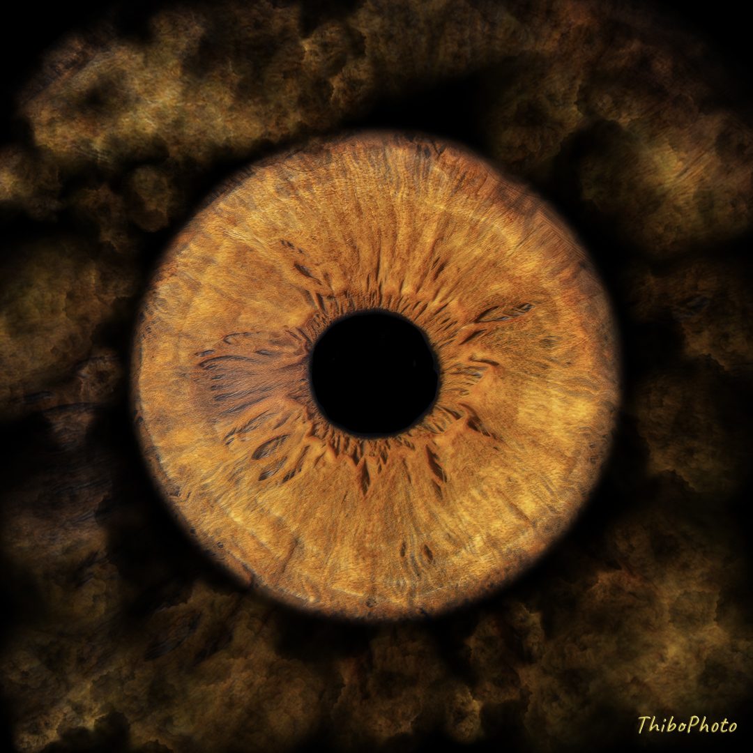 Iris coloré en nuances de brun et doré, avec pupille noire au centre.
