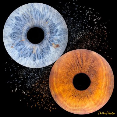 Deux disques de couleurs différentes, bleu et orange, avec des motifs irisées.