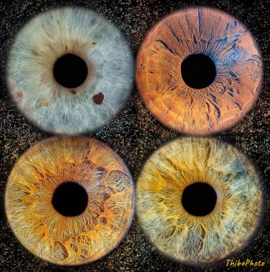 Quatre iris humains avec des couleurs et motifs différents sur fond sombre.