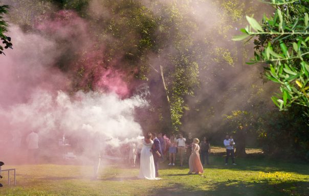 Des personnes en pleine célébration entourées de fumée colorée dans un parc.