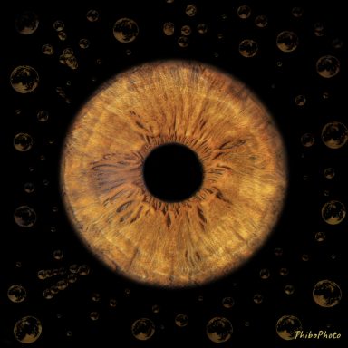 Œil de couleur orange entouré de bulles, sur fond noir.