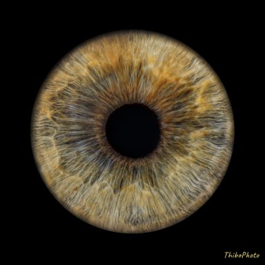 Iris multicolore avec des nuances de brun et d'or, entourant une pupille noire.